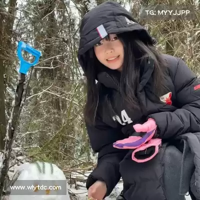 蓬宝蝶